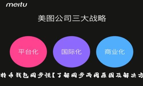 比特币钱包同步慢？了解同步两周原因及解决方案