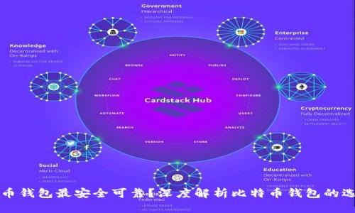 哪种比特币钱包最安全可靠？深度解析比特币钱包的选择与使用