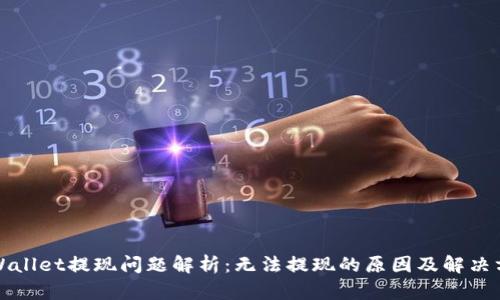 TPWallet提现问题解析：无法提现的原因及解决方案