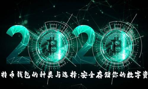 比特币钱包的种类与选择：安全存储你的数字资产