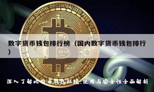深入了解比特币钱包环境：使用与安全性全面解析