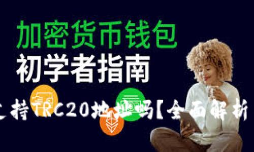 TPWallet支持TRC20地址吗？全面解析与使用指南