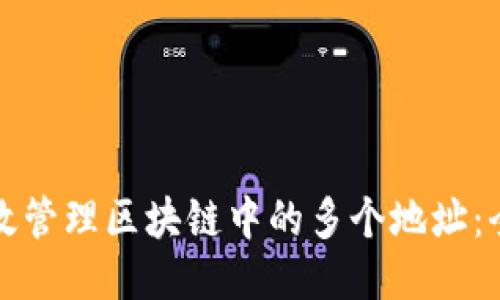 如何高效管理区块链中的多个地址：全面指南